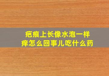 疤痕上长像水泡一样痒怎么回事儿吃什么药