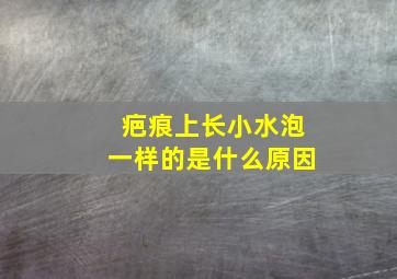 疤痕上长小水泡一样的是什么原因