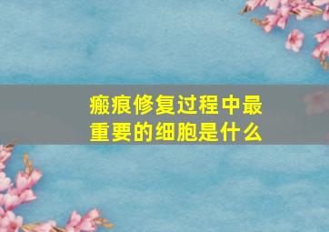 瘢痕修复过程中最重要的细胞是什么