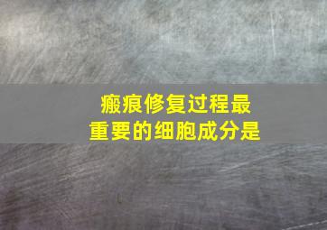 瘢痕修复过程最重要的细胞成分是