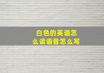 白色的英语怎么读语音怎么写