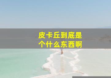 皮卡丘到底是个什么东西啊