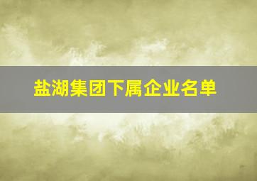 盐湖集团下属企业名单