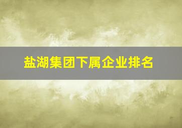 盐湖集团下属企业排名