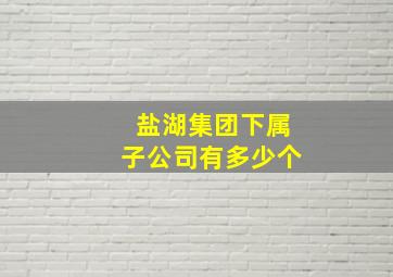 盐湖集团下属子公司有多少个