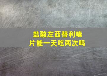 盐酸左西替利嗪片能一天吃两次吗