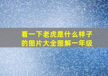 看一下老虎是什么样子的图片大全图解一年级