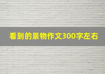 看到的景物作文300字左右