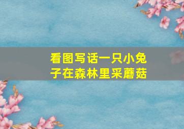 看图写话一只小兔子在森林里采蘑菇