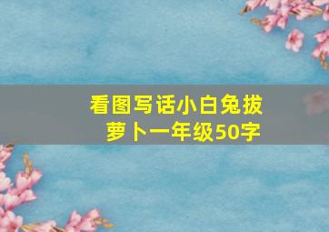 看图写话小白兔拔萝卜一年级50字