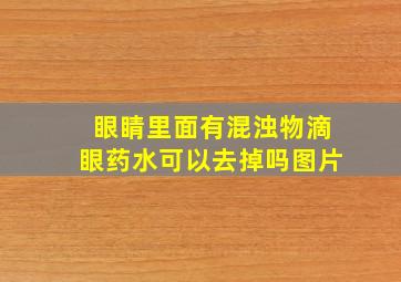 眼睛里面有混浊物滴眼药水可以去掉吗图片