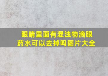 眼睛里面有混浊物滴眼药水可以去掉吗图片大全