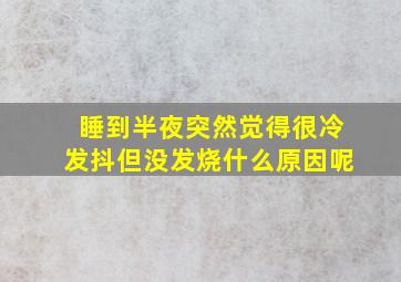 睡到半夜突然觉得很冷发抖但没发烧什么原因呢