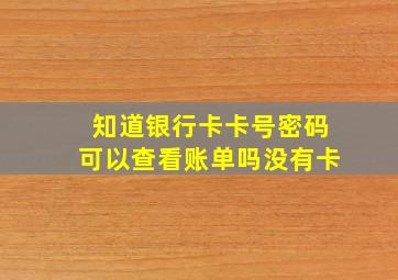 知道银行卡卡号密码可以查看账单吗没有卡