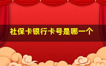 社保卡银行卡号是哪一个