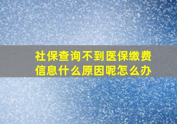 社保查询不到医保缴费信息什么原因呢怎么办