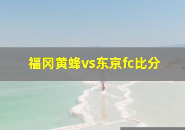 福冈黄蜂vs东京fc比分