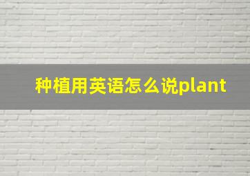 种植用英语怎么说plant