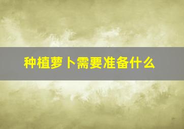 种植萝卜需要准备什么