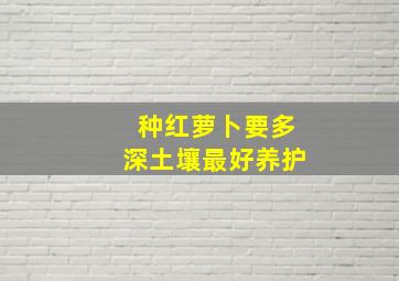 种红萝卜要多深土壤最好养护