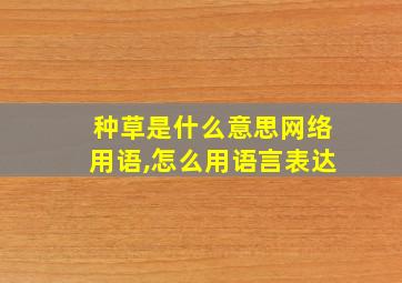 种草是什么意思网络用语,怎么用语言表达