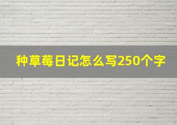 种草莓日记怎么写250个字