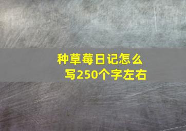 种草莓日记怎么写250个字左右