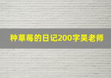 种草莓的日记200字吴老师