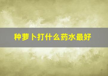 种萝卜打什么药水最好