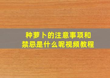 种萝卜的注意事项和禁忌是什么呢视频教程