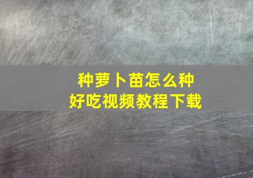 种萝卜苗怎么种好吃视频教程下载