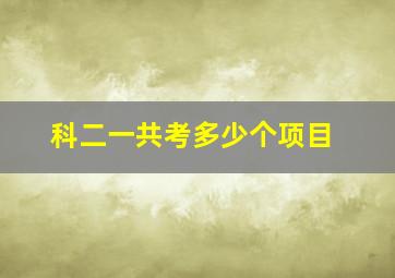 科二一共考多少个项目