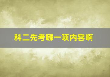 科二先考哪一项内容啊