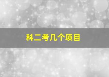 科二考几个项目