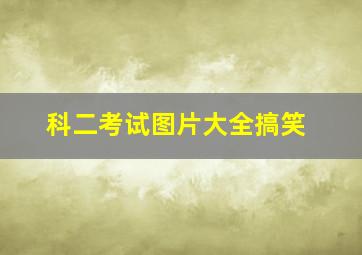 科二考试图片大全搞笑