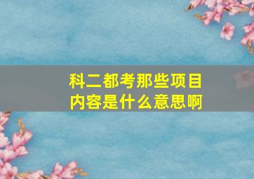 科二都考那些项目内容是什么意思啊