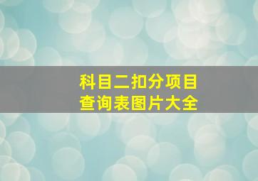 科目二扣分项目查询表图片大全