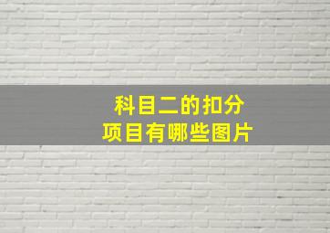 科目二的扣分项目有哪些图片