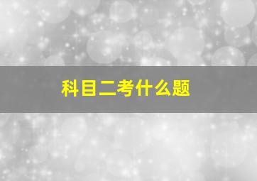 科目二考什么题