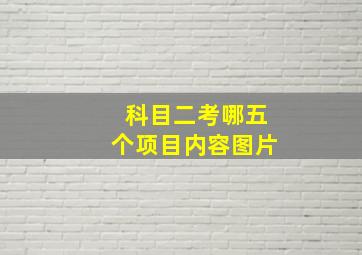 科目二考哪五个项目内容图片