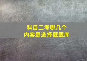 科目二考哪几个内容是选择题题库