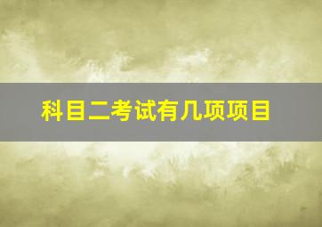 科目二考试有几项项目