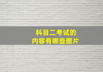 科目二考试的内容有哪些图片