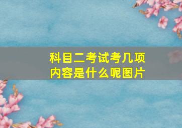 科目二考试考几项内容是什么呢图片