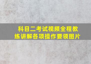 科目二考试视频全程教练讲解各项操作要领图片