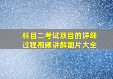 科目二考试项目的详细过程视频讲解图片大全