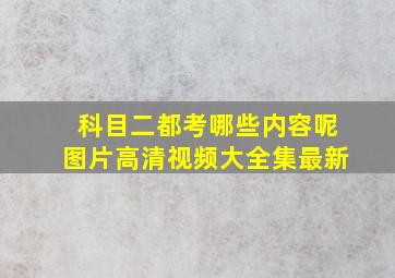 科目二都考哪些内容呢图片高清视频大全集最新