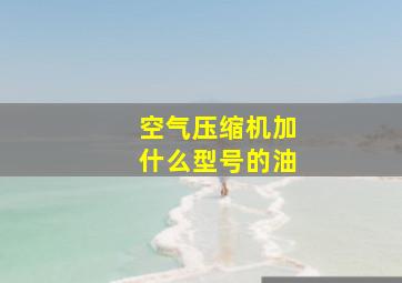 空气压缩机加什么型号的油