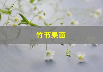 竹节果苗