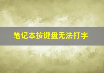 笔记本按键盘无法打字